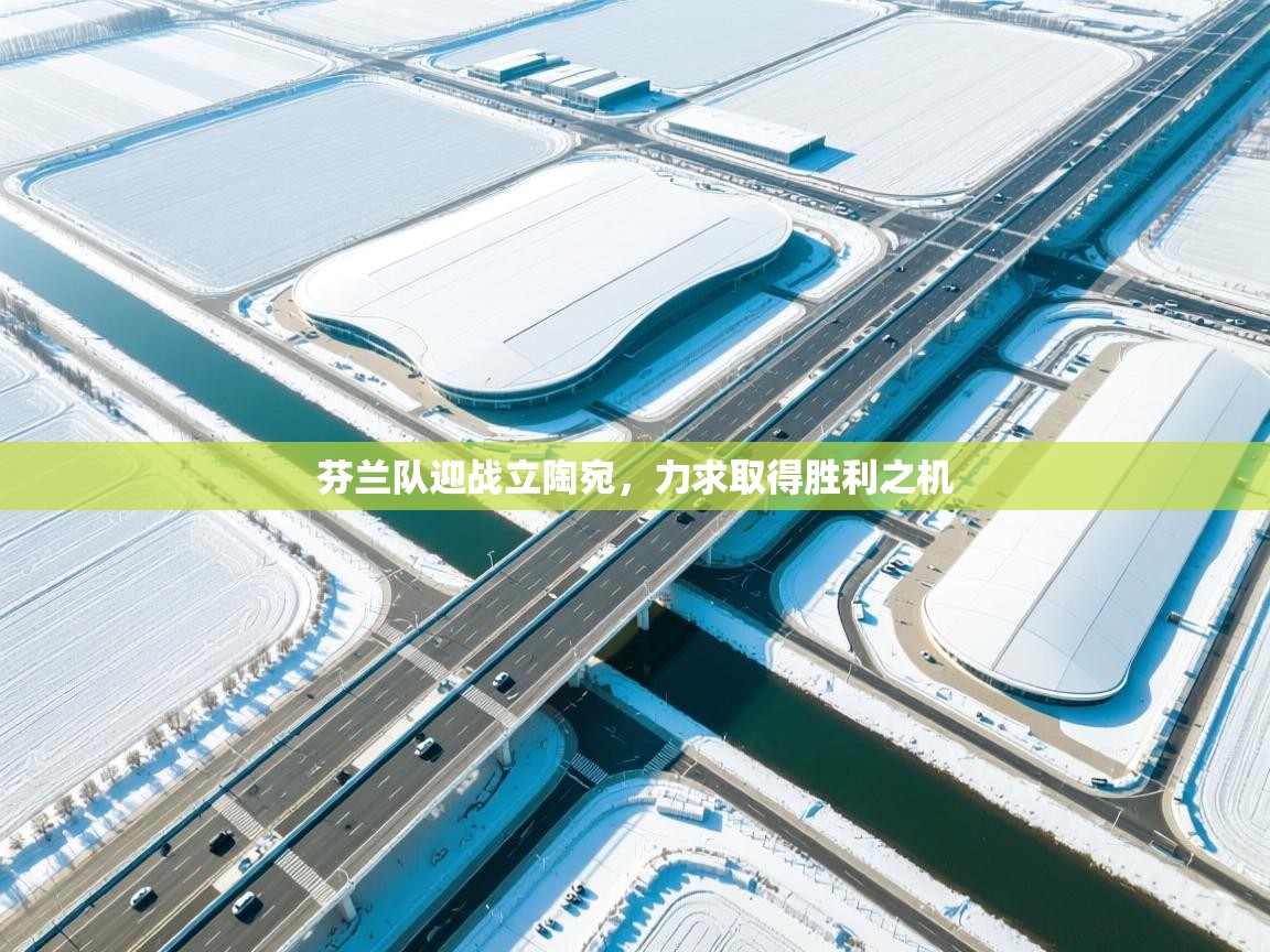 芬兰队迎战立陶宛,力求取得胜利之机 第1张