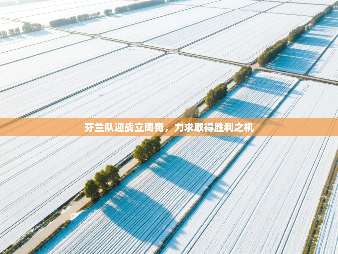 芬兰队迎战立陶宛,力求取得胜利之机 第2张