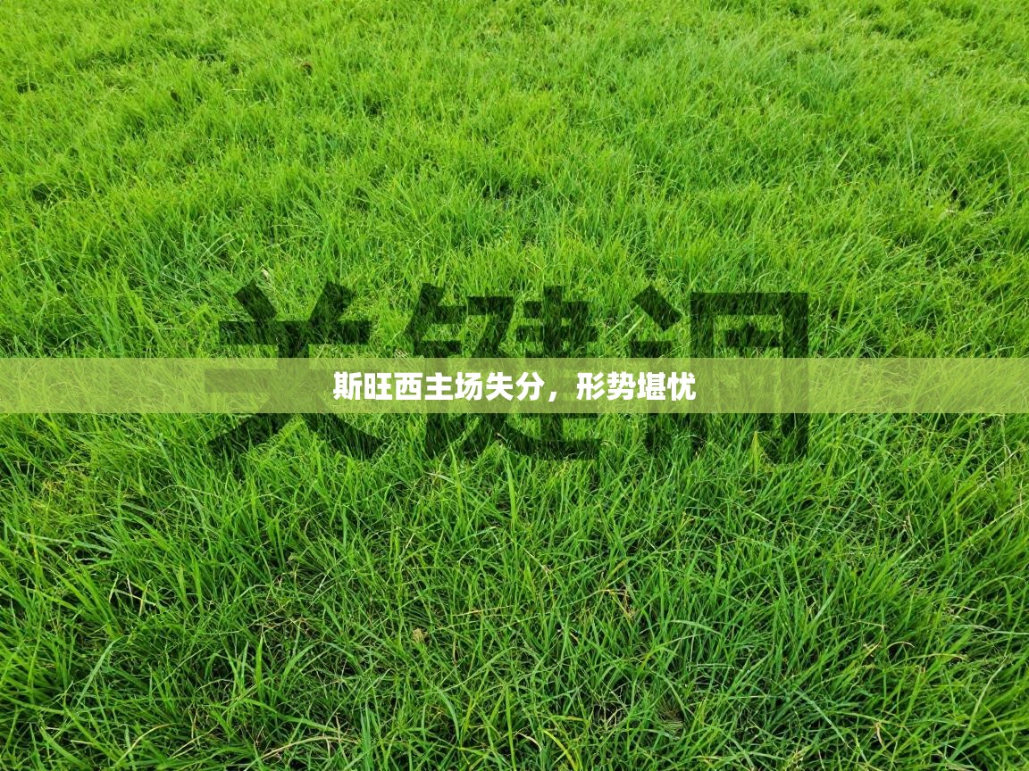 斯旺西主场失分，形势堪忧  第1张