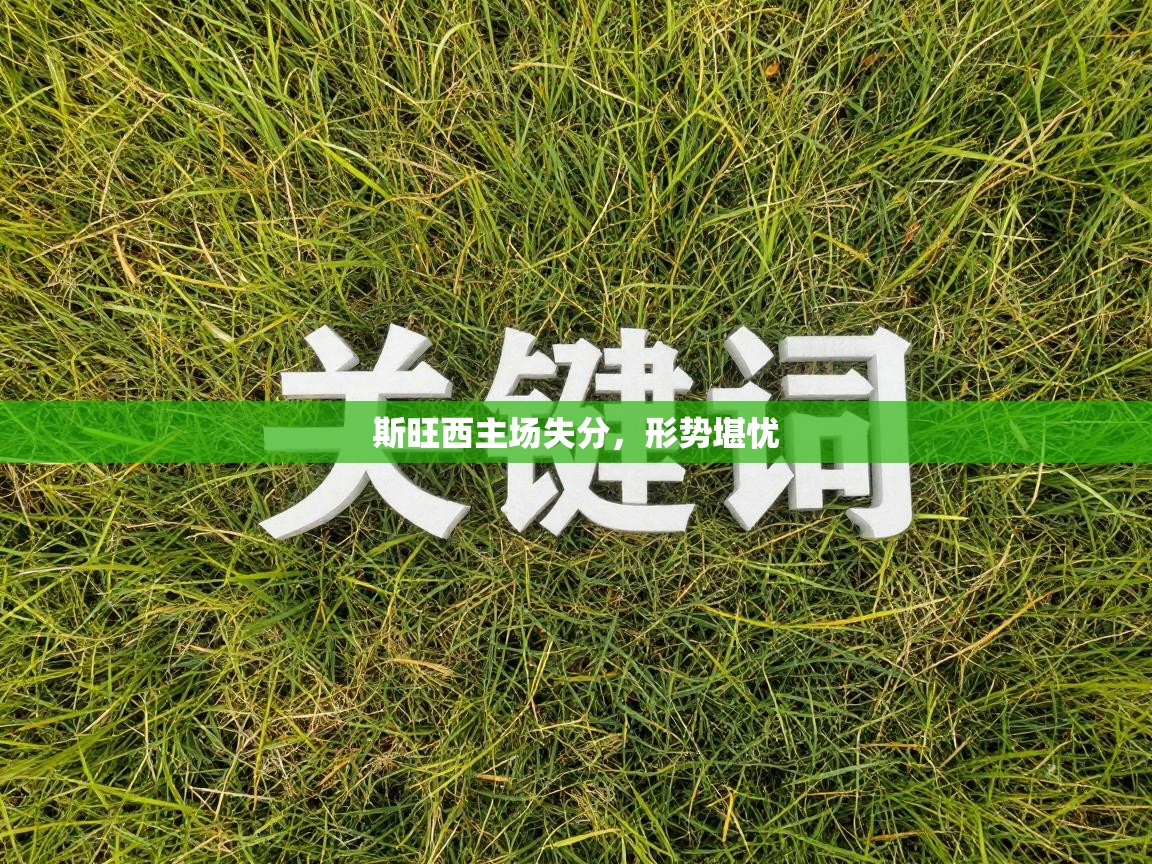 斯旺西主场失分，形势堪忧  第2张