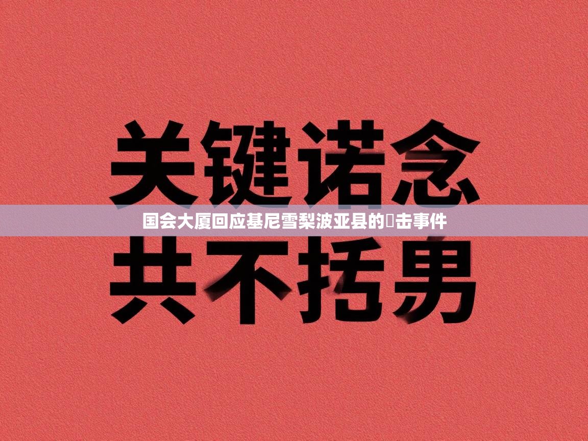 国会大厦回应基尼雪梨波亚县的衝击事件 第2张