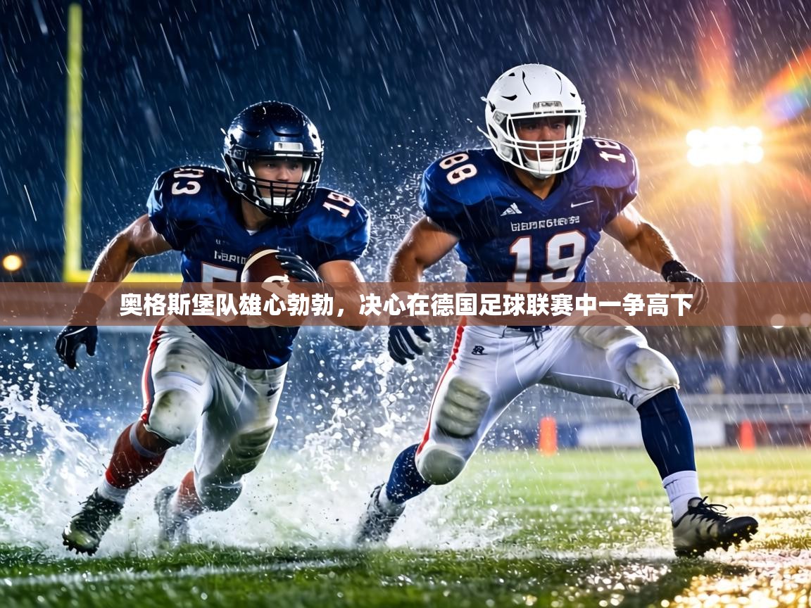 奥格斯堡队雄心勃勃,决心在德国足球联赛中一争高下 第1张