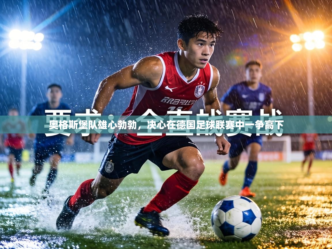奥格斯堡队雄心勃勃,决心在德国足球联赛中一争高下 第2张
